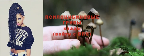 дживик Ростов