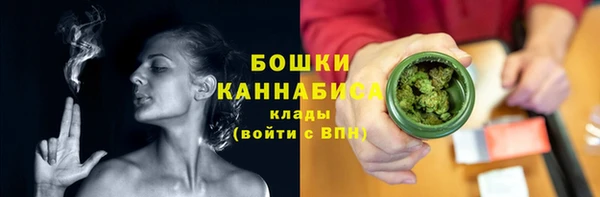 молекула духа Елизово